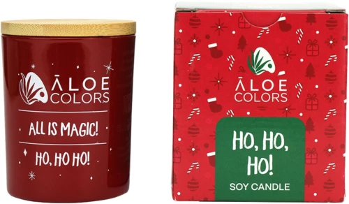 Aloe Colors Ho Ho Ho Αρωματικό Κερί Σόγιας 150gr