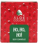 Aloe Colors Ho Ho Ho Αρωματικό Κερί Σόγιας 150gr