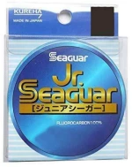 Seaguar Junior 40m