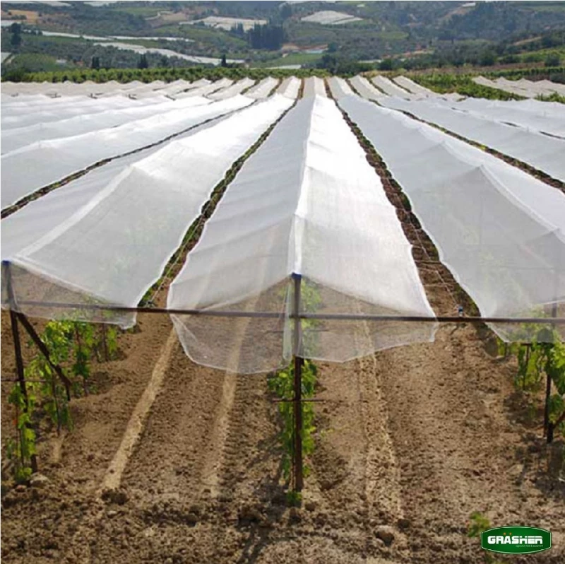 GRASHER Αντιχαλαζικό Δίχτυ 2x100m