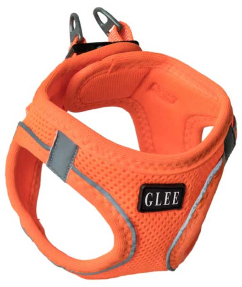 Glee Σαμαράκι Joy Πορτοκαλί Ιμάντα Saddle M 44-48cm