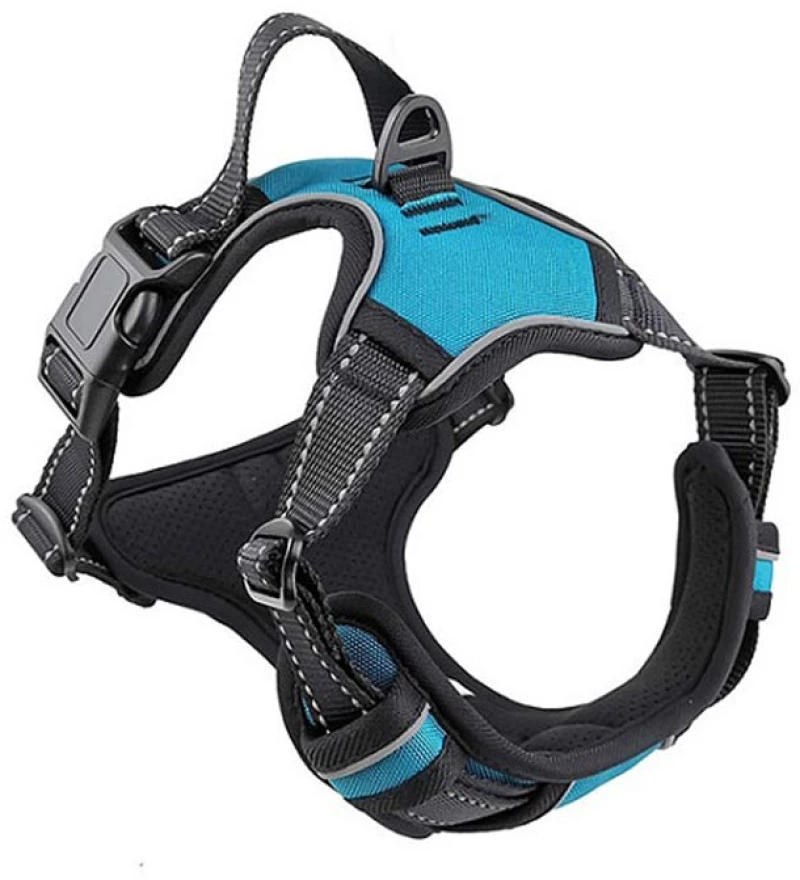 Goget Pro Σαμαράκι Σκύλου με Χειρολαβή Γαλάζιο M 2.5x50-65cm