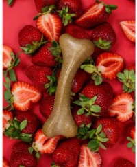 Dashi Fruity Bones Φράουλα Small
