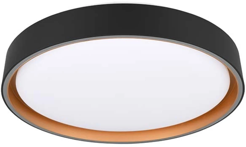 Φωτιστικό Οροφής RL Lighting Felis R64391080 Μαύρο Ματ