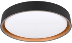 Φωτιστικό Οροφής RL Lighting Felis R64391080 Μαύρο Ματ