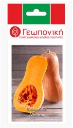 Κολοκύθα Violina F1 | 10gr