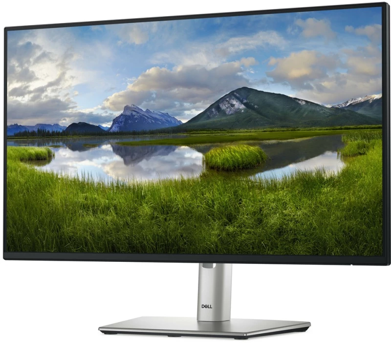 Dell 24 Monitor - P2425h