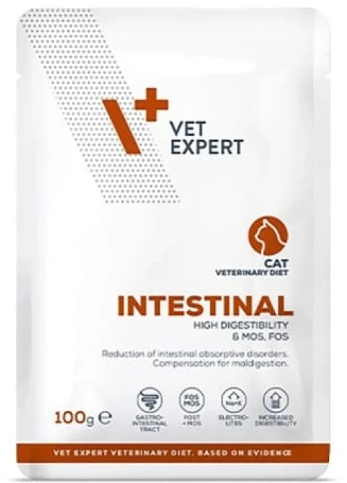 VET EXPERT CAT INTESTINAL 100GR