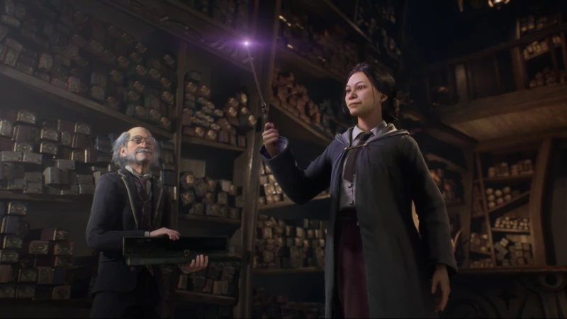Hogwarts Legacy / PlayStation 4