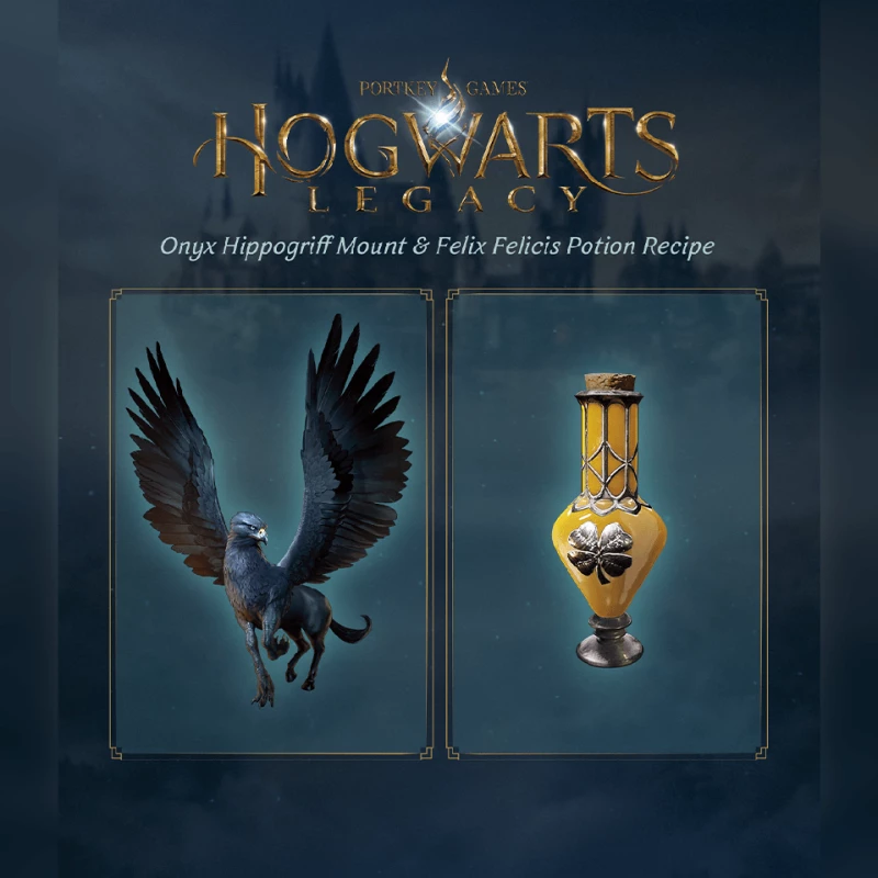 Hogwarts Legacy / PlayStation 4