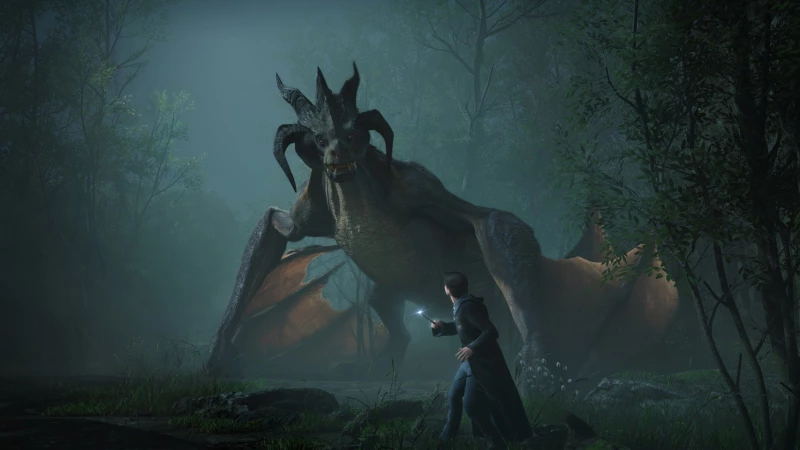 Hogwarts Legacy / PlayStation 4