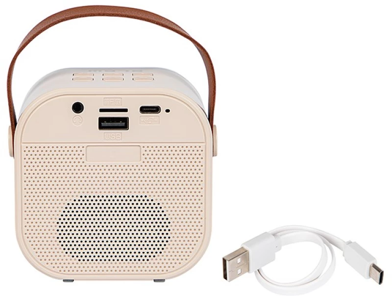 Bluetooth speaker KARAOKE RGB 10W