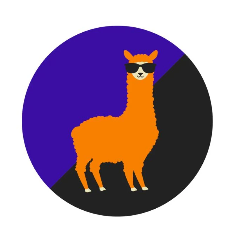 Κάλτσες Cool Llama 1Pack