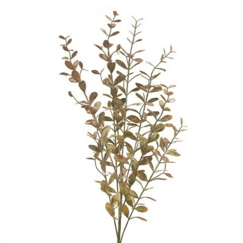 Τεχνητό Κλωνάρι Κολούμνεα Καφέ 73 εκ. 6790-7 Supergreens 6790-7 Καφέ