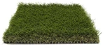 ΓΚΑΖΟΝ SIMI 40mm 2M NewPlan - -