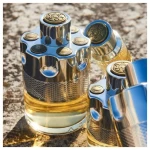 Azzaro Wanted EDT 100ml