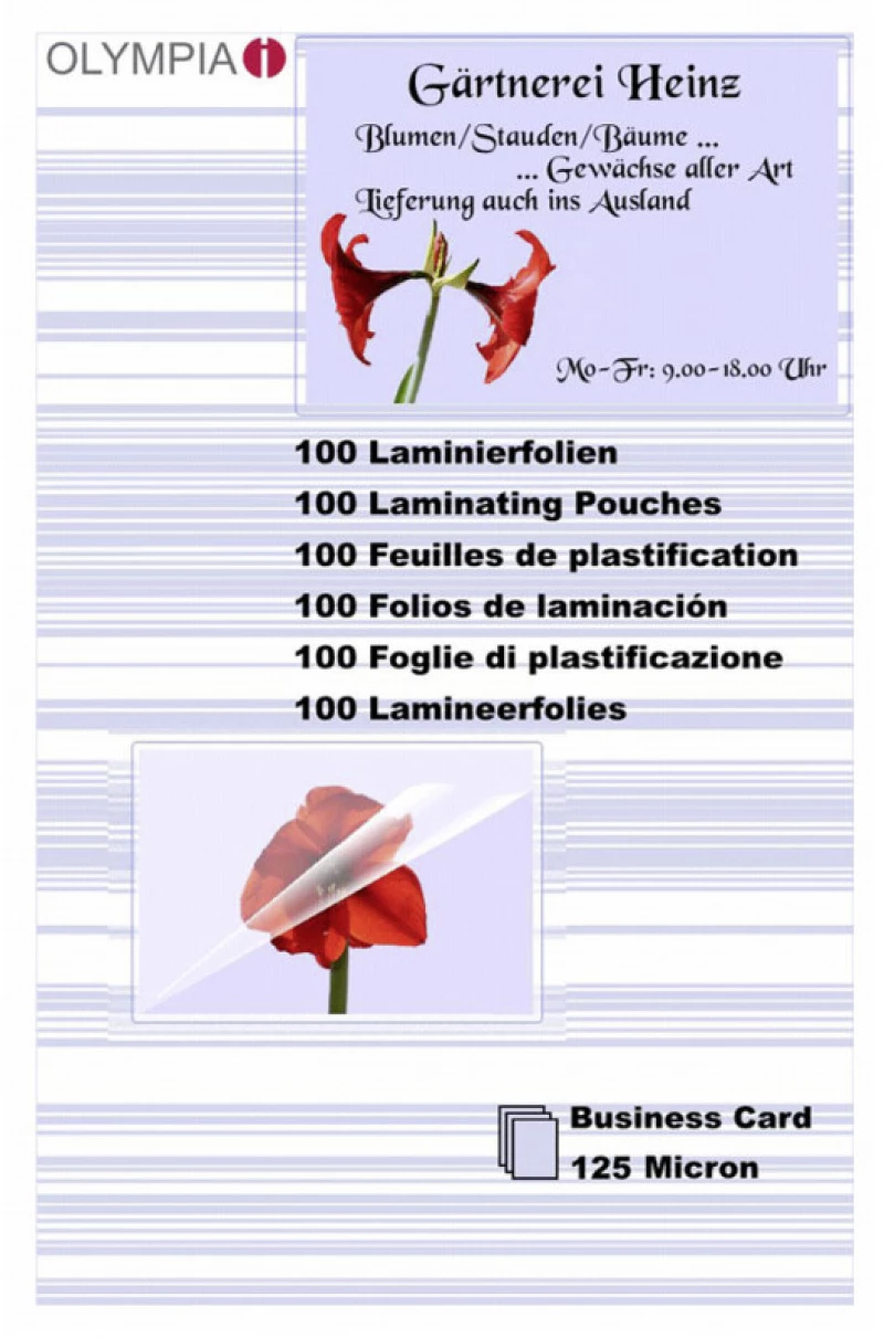 Olympia 1x100 Laminating Pouches Business Cards 125 micron