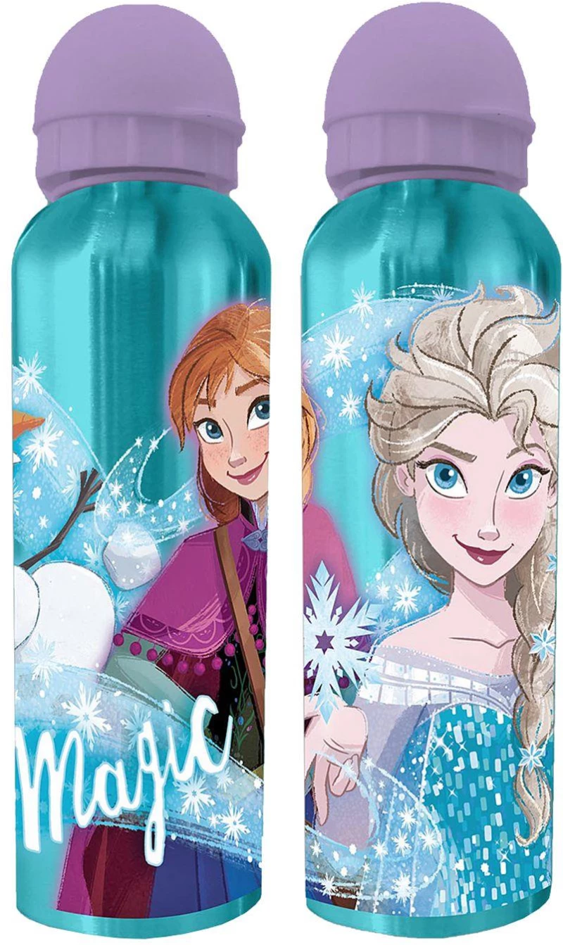 ΠΑΓΟΥΡΙ ΜΕΤΑΛΛΙΚΟ FROZEN 2 21x6,5cm   500ml Disney 4016-8490M