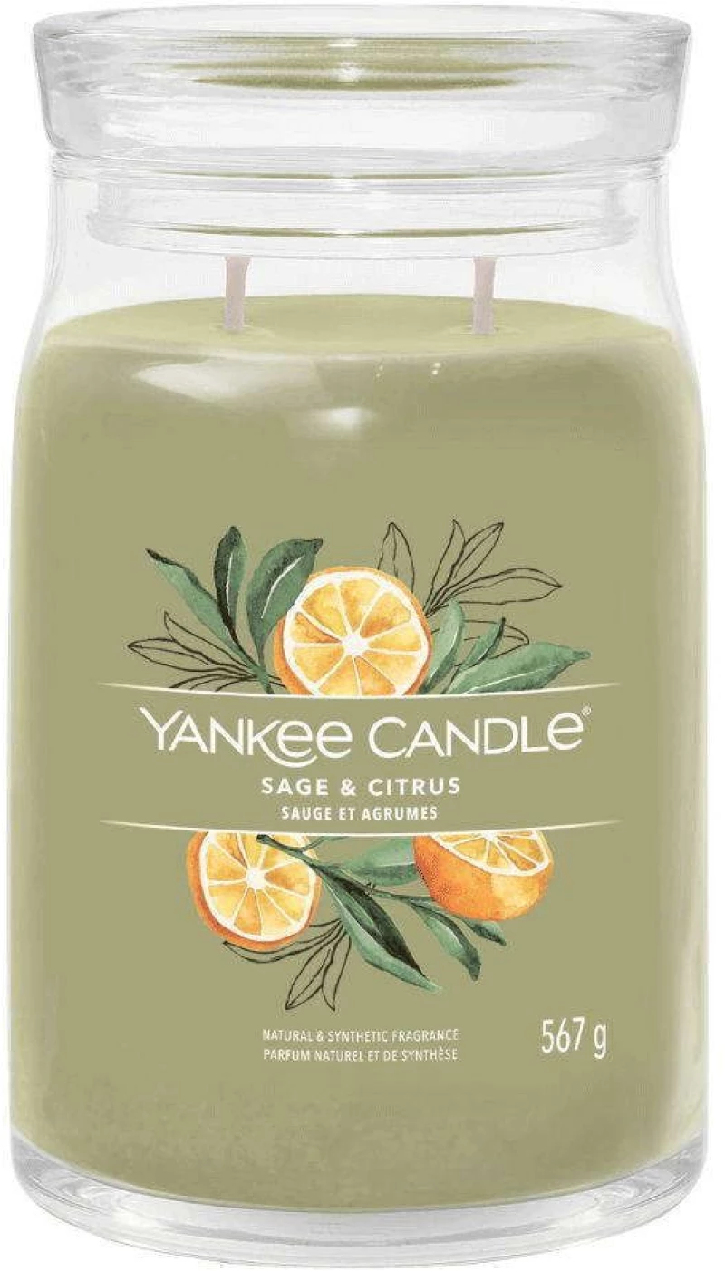 Αρωματικό Κερί Signature Sage & Citrus Large 1629961E 9,3x15,7cm Green Yankee Candle