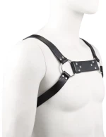 Bulldog leather chest harness