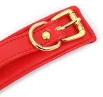 NAUGHTY TOYS sexy red with Gold snap-hook leather Ankle cuffs