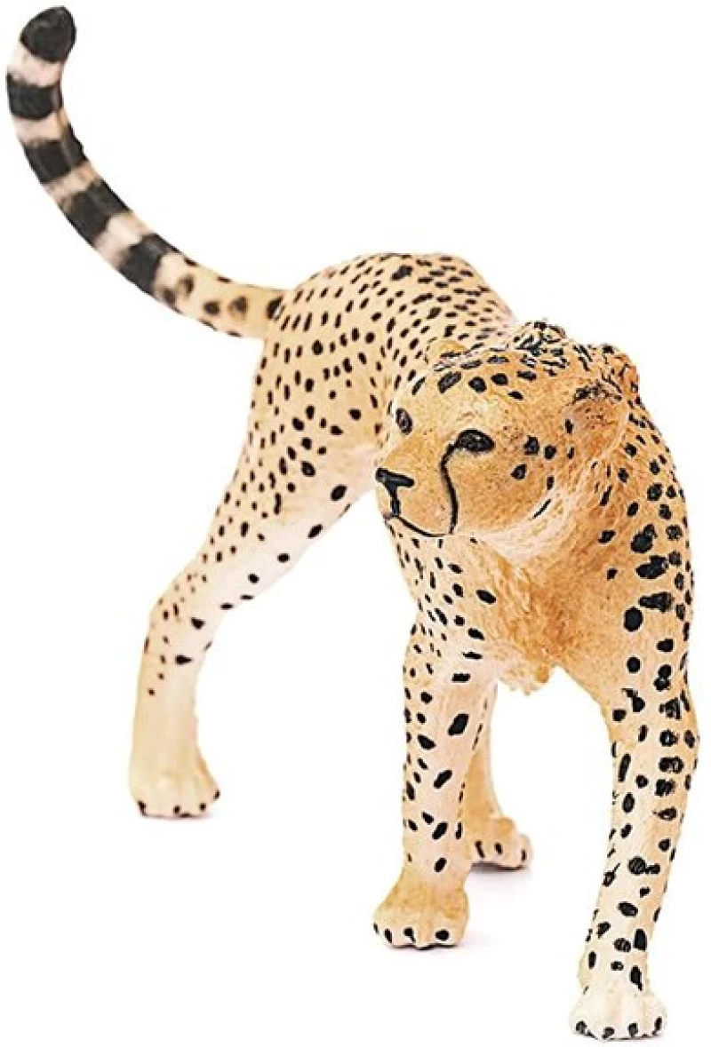 Φιγούρα Θηλυκό Τσιτάχ Schleich - 14746