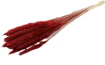 PAMPAS FLUFFY 70GR BORDEAUX