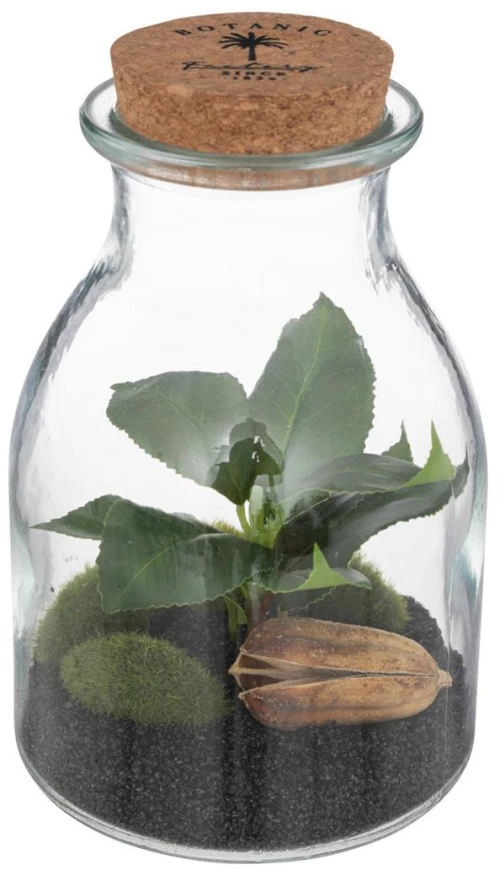Βάζο terrarium με φυτό 12x19,5