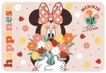 ΣΟΥΠΛΑ 43Χ29 εκ. MINNIE (#564389)