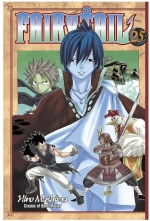 FAIRY TAIL 25