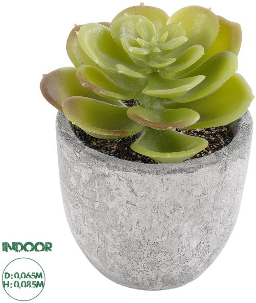 GloboStar® Artificial Garden SUCCULENT SEDEVERIA 21021 Διακοσμητικό Φυτό Παχύφυτο Σεντεβέρια Υ8.5cm