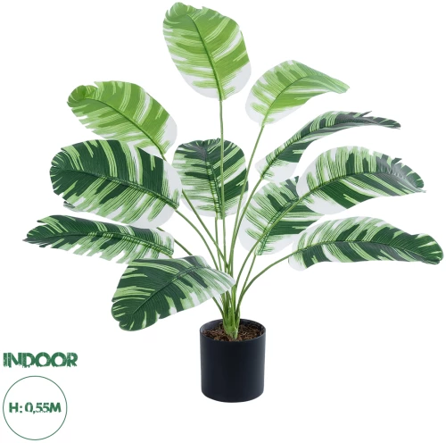 GloboStar® Artificial Garden BANANA ZEBRA 20929 Διακοσμητικό Φυτό Μπανανιά Ζέβρα Υ55cm