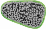 Tescoma 1005134 Πανί μικροϊνών ProfiMATE