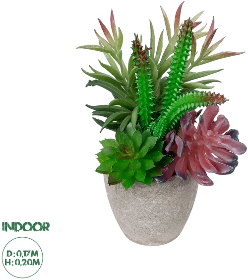 GloboStar® Artificial Garden SUCCULENT VARIUS PLANT POTTED 21039 Διακοσμητικό Φυτό Μίξ Μ17 x Υ20cm