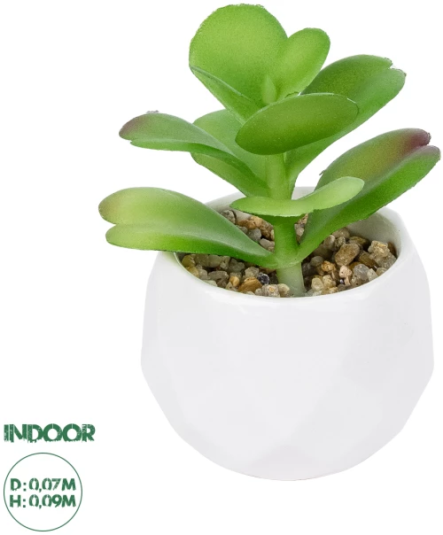 GloboStar® Artificial Garden SUCCULENT KALANCHOE POTTED PLANT 20995 Διακοσμητικό Φυτό Καλαχόη  Φ8 x Υ10cm