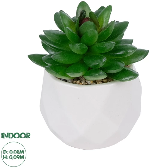 GloboStar® Artificial Garden SUCCULENT SEDEVERIA POTTED PLANT 21002 Διακοσμητικό Φυτό Σεδεβέρια  Φ8 x Υ9cm