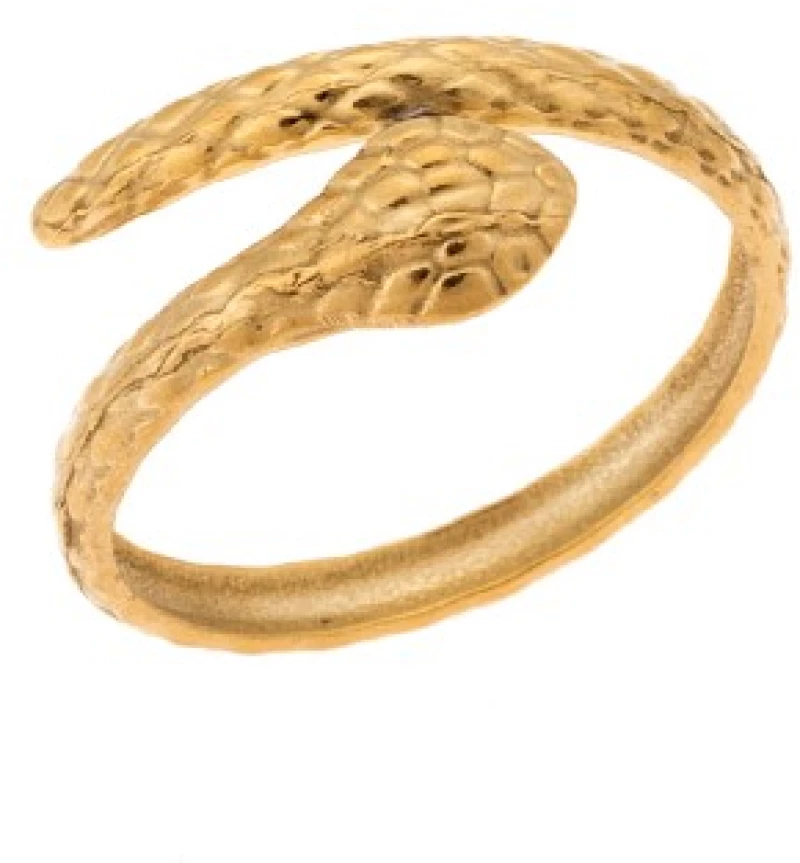 Δαχτυλίδι Senza Gold Plated Steel, με φιδάκι