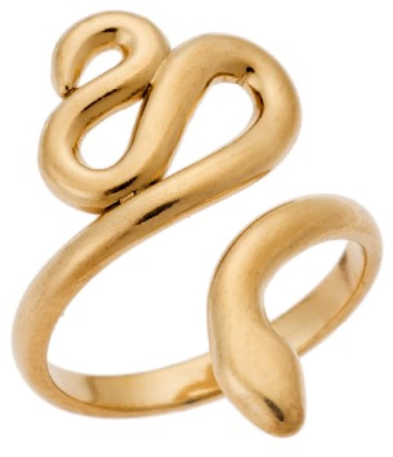 Δαχτυλίδι Senza Gold Plated Steel, με φιδάκι