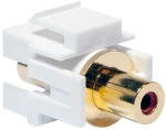 Keystone Logilink RCA Female Red