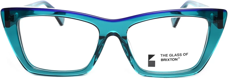 BRIXTON BF209 03
