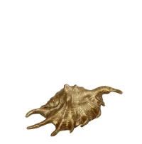 ΚΟΧΥΛΙ ΧΡΥΣΟ  15X7,5X4,5CM.