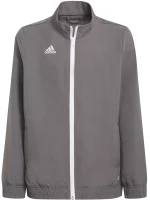 Sweatshirt for kids adidas Entrada 22 Training Top gray H57549 140cm