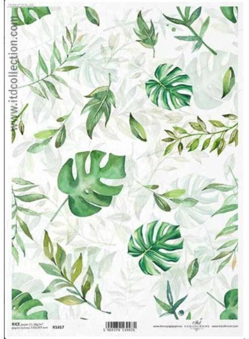 443405 ΡΙΖΟΧΑΡΤΟ "GREEN LEAVES" 21X29ΕΚ. (ITD-R1417) ΠΑΚ