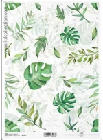 443405 ΡΙΖΟΧΑΡΤΟ "GREEN LEAVES" 21X29ΕΚ. (ITD-R1417) ΠΑΚ