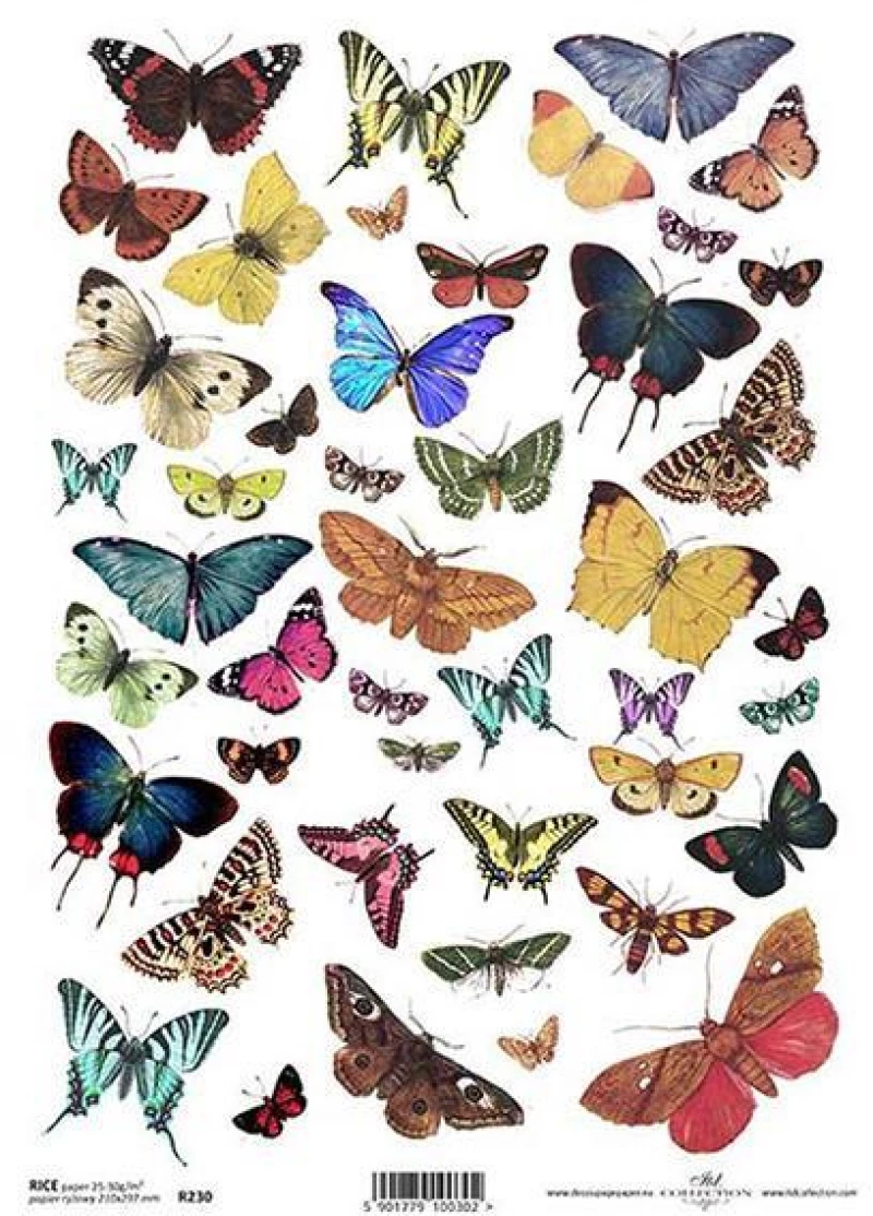 443422 ΡΙΖΟΧΑΡΤΟ "BUTTERFLIES 1" 21X29ΕΚ. (ITD-R230) ΠΑΚ