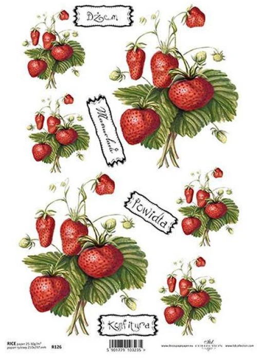 443409 ΡΙΖΟΧΑΡΤΟ "STRAWBERRIES" 21X29ΕΚ. (ITD-R126) ΠΑΚ