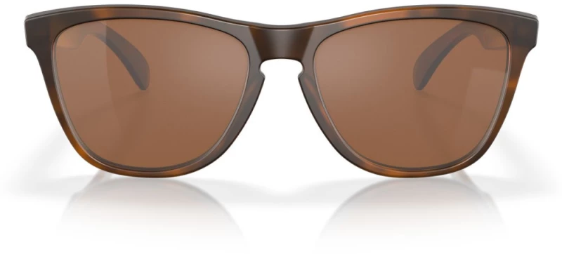 OAKLEY FROGSKINS OO9013-C5