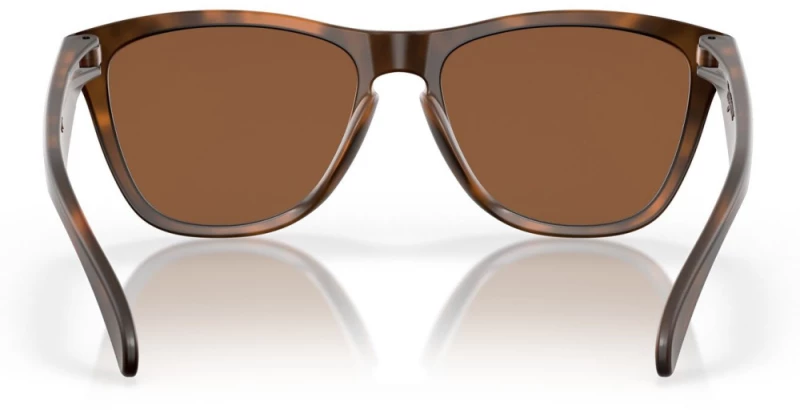 OAKLEY FROGSKINS OO9013-C5