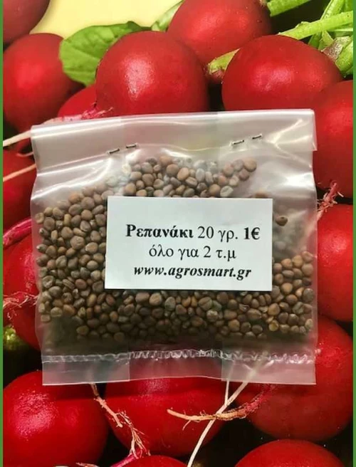 Ρεπανάκι Saxa 100gr