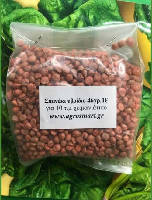 Σπανάκι υβρίδιο Huston 1kg